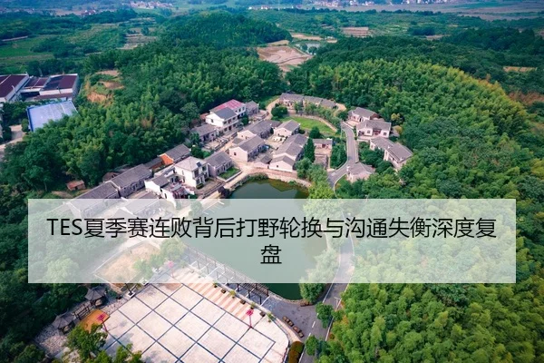 TES夏季赛连败背后打野轮换与沟通失衡深度复盘